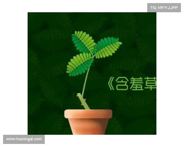 以爱为纽带:解析该隐情感的三大独特特征及其深层意义 以爱为纽带:解析该隐情感的三大独特特征及其深层意义