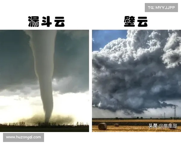 永歌森林中的神秘自然现象探秘与解读 永歌森林中的神秘自然现象探秘与解读