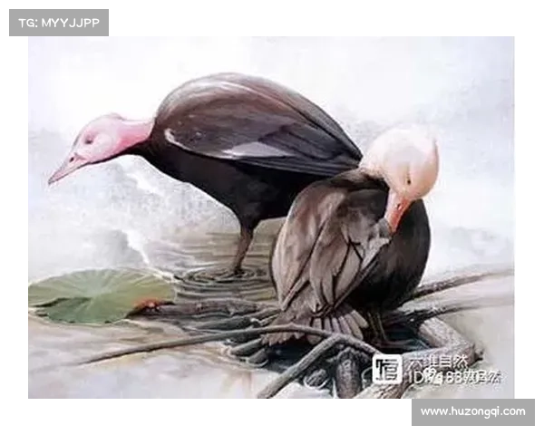探寻古老精怪传说中神秘生物踪迹的方法与民间智慧研究 探寻古老精怪传说中神秘生物踪迹的方法与民间智慧研究