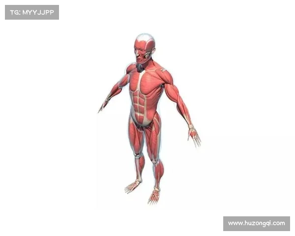 尼克·杨计划打造全新运动社交平台，连接全球运动爱好者和专业人士