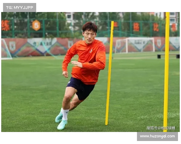 山东泰山足球队训练策略优化与实施可行性分析