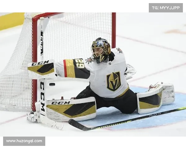 康纳·麦大维德表现惊艳 NHL季后赛对抗赛引发广泛关注与期待