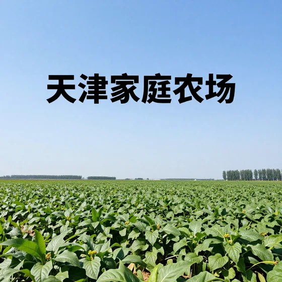 视源科技售后保障